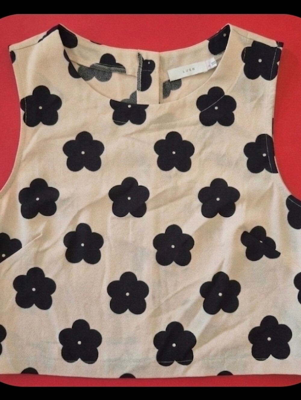 LUSH Retro Floral Crop Top